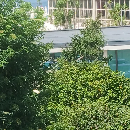 Garden בית הארחה
